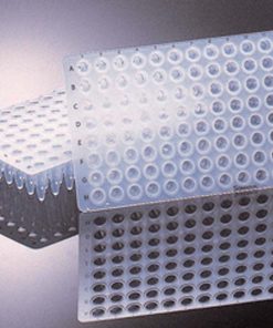 Sorenson PCR Products