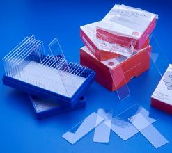 Fisher Scientific Microscope Slides