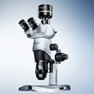 Stereo Microscopes