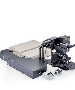 FVMPE-RS Multiphoton Laser Scanning Microscope