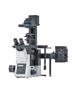 Inverted Microscopes 
