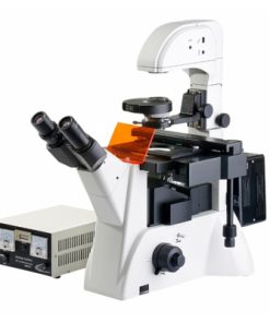 Fluorescence Microscopes