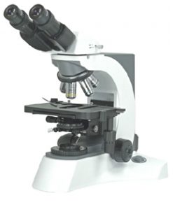 E800M Microbiological Microscopes