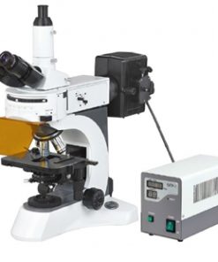 E800MF Fluorescent Microbiological Microscopes